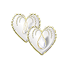tube coeur