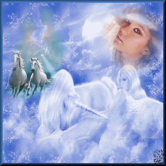 creation animée