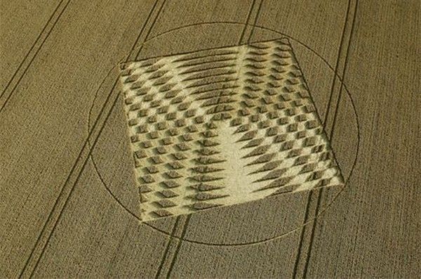 agroglyphes