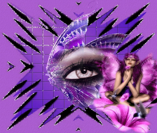 creation animée
