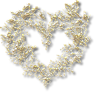 tube coeur