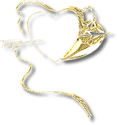 tube coeur