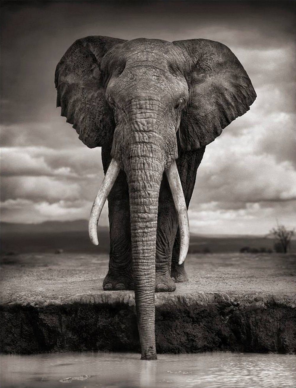 Nick Brandt